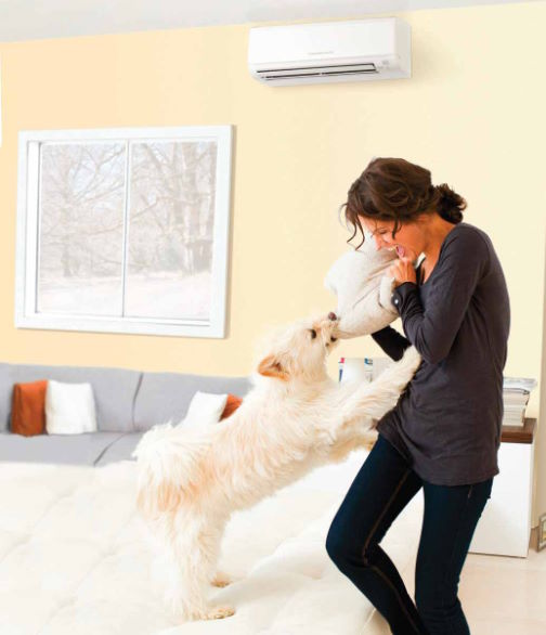 Ductless Systems